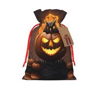 Búho calabaza feliz Halloween 1 bolsa con cordón impreso para regalos, bolsas de regalo adorables reutilizables, perfectas para joyas y mucho más