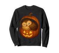 Búho durmiendo en Calabaza Acogedor otoño Jack-O'-Lantern Art Sudadera