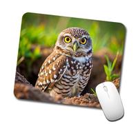 Búho Llanero, Ave Rapaz De Presa Alfombrilla De Escritorio Antideslizante Alfombrilla De Ratón Portátil Mousepad para Oficina Ordenador Gaming 25X30Cm