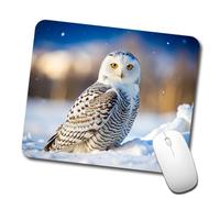 Búho Nival, Ave Rapaz Alfombrilla De Escritorio Portátil Alfombrilla De Ratón Duradero Mousepad para Hogar Pc Ordenador 25X30Cm