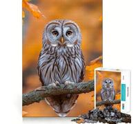 Búho posado en una Rama en otoño Rompecabezas de 1000 Piezas para Adolescentes Rompecabezas con Efecto de Memoria Iluminación Relajante Imagen para armar (50x75cm)