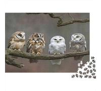 Búhos acostados Juntos Puzzle 1000p para Personas Mayores Regalo De Cumplea?os para Enmarcar Mejor Valorados Actividad para Fiestas Cartón 38x26cm/1000pcs