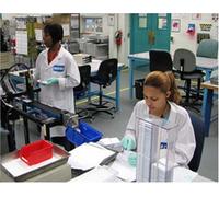 Building a Lean Culture [Reino Unido] [DVD]