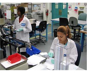 Building a Lean Culture [Reino Unido] [DVD]