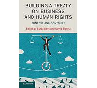 Building a Treaty on Business and Human Rights: Context and Contours