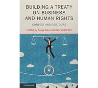 Building a Treaty on Business and Human Rights: Context and Contours
