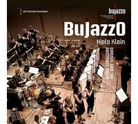 Bujazzo - Groove And The Abstract Truth