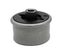 Buje del brazo de control Eje delantero abajo 516463 GSP para FORD JAGUAR