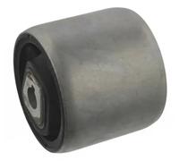 Buje del brazo de control Eje delantero, izquierda Soporte hidráulico 20 93 6082
