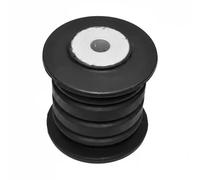 Buje del brazo de control eje trasero ambos lados Rodamiento de caucho-metal RTS