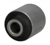 Buje del brazo de control Eje trasero GOM-H231 ASHIKA para KIA HYUNDAI