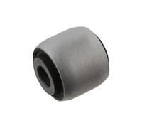 Buje del brazo de control Eje trasero izquierda 55 93 3456 SWAG para VOLVO S80 I