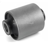 Buje del brazo de control Eje trasero izquierda Rodamiento de caucho-metal SWAG