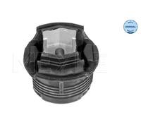 Dirección - Suspensión - Tren > Suspensión de Ejes > Silentblock del puente trasero