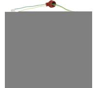 Bujía Calentadora - Conjunto de Servicio para Precalentadores | Extractor de Roscas para Vehículos de 2 a 5 kW Camión Coche Estacionamiento