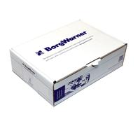 Bujía de encendido Z349 BorgWarner (BERU)