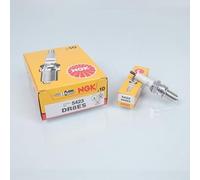 Bujía NGK para Moto Honda 1000 Cbx B C 1981 Ã 1982 DR8ES Nuevo