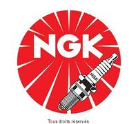 Bujías NGK tipo ER8EH-N