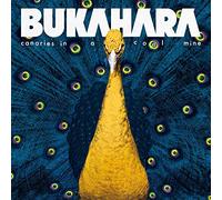 Bukahara - Canaries in a Coal Mine (LP) [Vinilo]