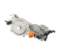 Bulevisiter LPG168 Generador Dual Fuel Carburador Kit 3KW 168F 170F 6.5HP para 100153 100165 100296 Kit de conversión de gas natural para 1-3.5KW (SKU)