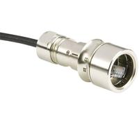 BULGIN PXM6034/A Sensor/Actuador Conector de datos Macho, Número de polos: 8P8C 1 unidad