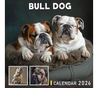 Bull Dog Calendar 2026: Wrinkly Friends Full of Charm and Personality