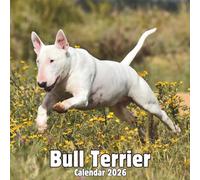 Bull Terrier Calendar 2026: 14-Month Organizer from Nov 2025 to Dec 2026 | Perfect for Home, Office, School & Family Scheduling, For Men , Women , Girls , Boys