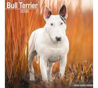 Bull Terrier Calendar 2026 Square Dog Breed Wall Calendar - 16 Month