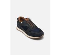 Bullboxer Justo 43 Azul