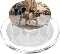 Bulldog Francés Caminando Calle Europea Escena Urbana Ciud PopSockets PopGrip para MagSafe