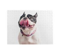 Bulldog Francés, Perro Curioso y Feliz, Rompecabezas de 500 Piezas para Adultos - Rompecabezas de Madera para Adultos Mayores