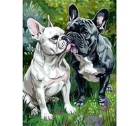 Bulldog francés Pintura por Números Adulta DIY Pintada a Mano Kits de Lienzo para Principiantes Pintura Acrílica Artes Manualidades para Decoración del Hogar,con Marco 55x70 cm