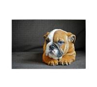 Bulldog inglés arrodillado,Rompecabezas de Madera de 1000 Piezas para Adultos y Adolescentes.
