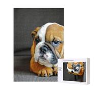 Bulldog inglés arrodillado,Rompecabezas de Madera de 300 Piezas para Adultos y Adolescentes.