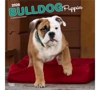 Bulldog Puppies | Calendario de pared mensual cuadrado 2026 30,5 x 61 cm | Sin plástico | BrownTrout | Mascotas razas de perros