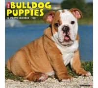 Bulldog Puppies 2027 Wall