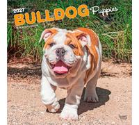 Bulldog Puppies - Bulldogge Welpen 2027 - 16-Monatskalender: Original BrownTrout-Kalender [Mehrsprachig] [Kalender] (Bulldog Puppies | 2027 12 x 24 ... | BrownTrout | Animals Dog Breeds)