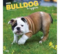 Bulldog Puppies | Calendario mensual cuadrado de pared 2025 de 12 x 24 pulgadas | Sin plástico | BrownTrout | Animales razas de perros
