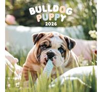 Bulldog Puppy Calendar 2026: 12 months of dogs: from January to December 2026 | The ideal gift for both planning, organization and dogs