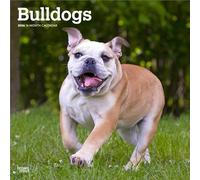 Bulldogs 2026 12 X 24 Inch (Hanging) Monthly Square Wall Calendar Plastic-Free
