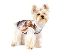 Bulldogs ingleses bozal Mascotas Perros durmiendo,Camiseta de algodón sin Mangas para Mascotas, Chaleco Transpirable, Suave y elástico para Cachorros,M