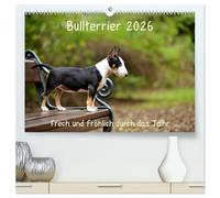 Bullterrier 2026 Frech und fröhlich durch das Jahr (hochwertiger Premium Wandkalender 2026 DIN A2 quer), Kunstdruck in Hochglanz: Ein toller Kalender ... und Liebhaber der Hunderasse Bullterrier.