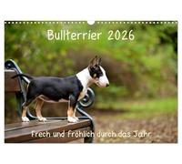 Bullterrier 2026 Frech und fröhlich durch das Jahr (Wandkalender 2026 DIN A3 quer), CALVENDO Monatskalender: Ein toller Kalender für die Freunde und Liebhaber der Hunderasse Bullterrier.
