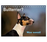 Bullterrier? Was sonst! (Tischkalender 2026 DIN A5 quer), CALVENDO Monatskalender: Ein toller Kalender für Fans der Rasse Bullterrier. Sehr schön in ... von der Tierfotografin Yvonne Janetzek