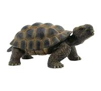 - Bully 63 553 Tortugas