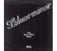 Bully Wee Band - Silvermines