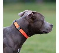 BullyBillows Collar para Perro Activo y Casual de Algodón y Malla | Ligero y Ajustable | Cómodo para Perros | Naranja | Grande