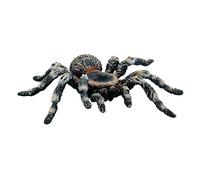 Bullyland 68457 - Figura de araña con Texto Animal World - White Kneed Spider