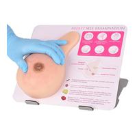 Bultos patológicos Autoprueba de mama Maniquíes,Modelo de mama femenina Maniquíes Modelo anatómico,Modelo didáctico Adecuado para la comunicación médico-paciente con soporte