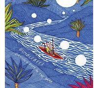 Bumblebees - Dancing dots in the dark